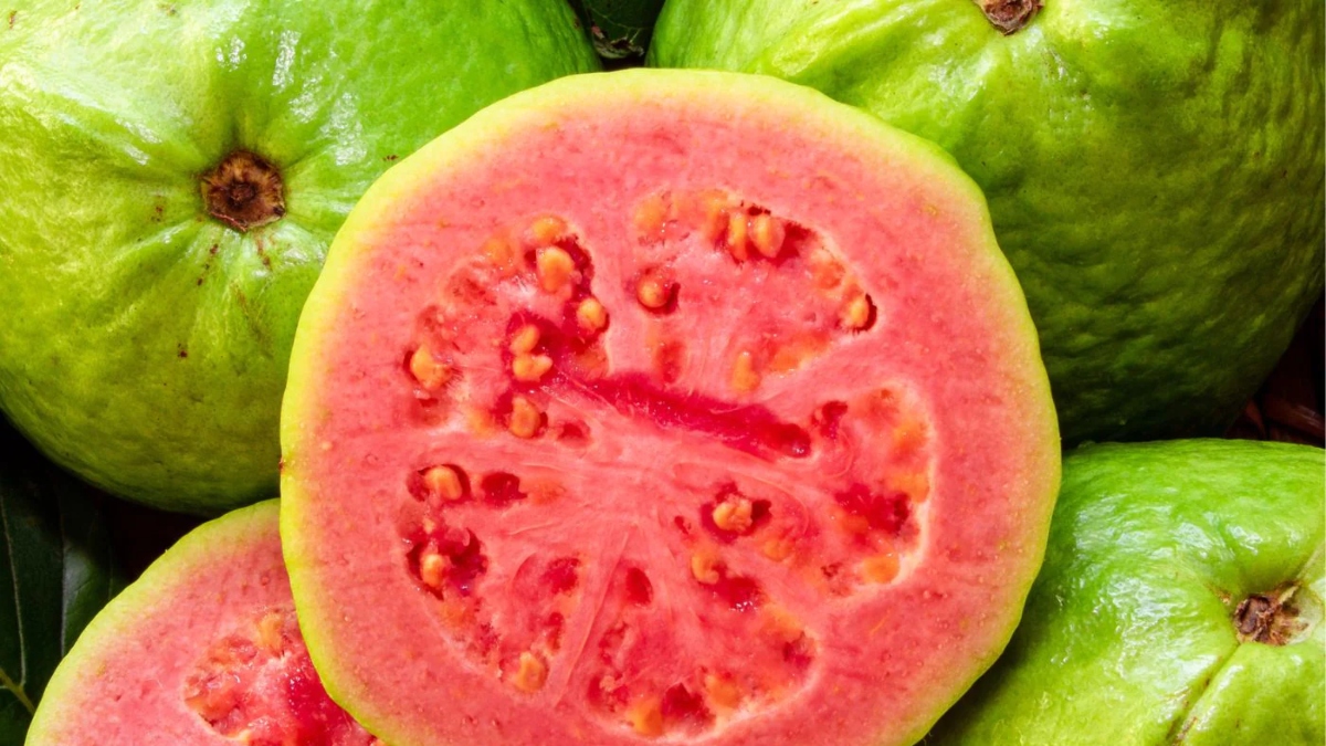 Reduces risk of cancer and diabetes: Know about 7 lesser known benefits of pink guava