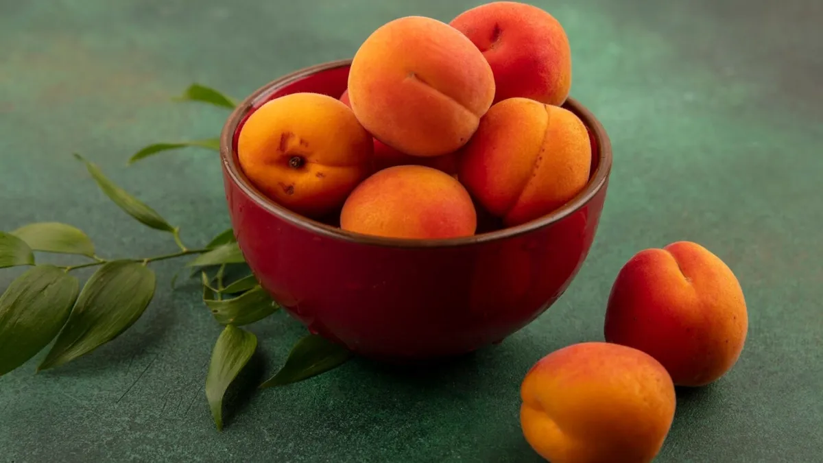 Know a few amazing benefits of Apricot.