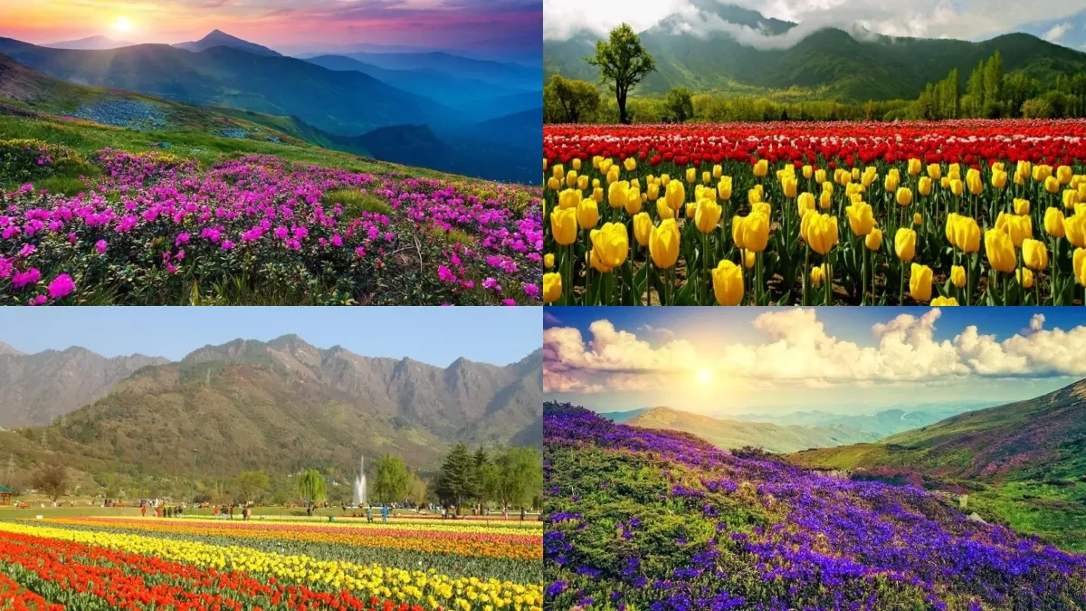 5 places to visit in India during the Spring season 