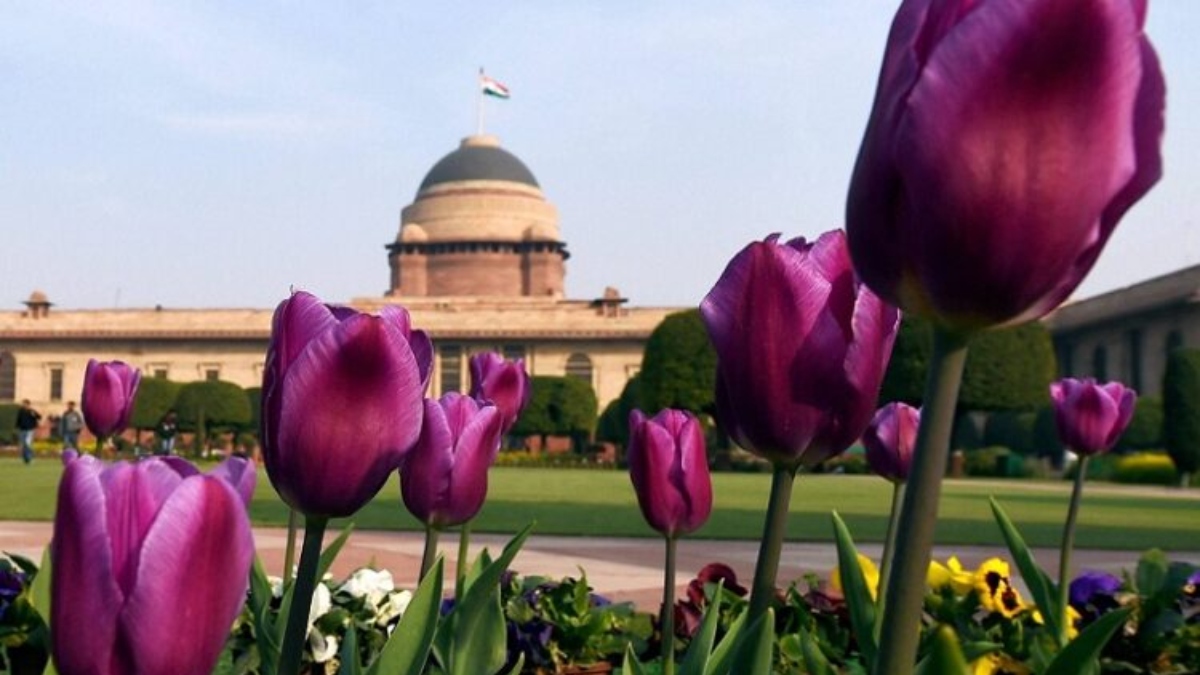 President Murmu inaugurates 'Purple Fest' for specially-abled at Rashtrapati Bhawan | Deets Inside