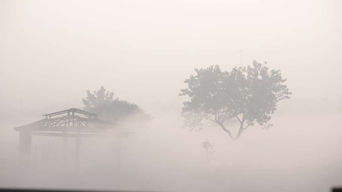 Dense fog envelops Delhi, visibility drops to zero – India TV