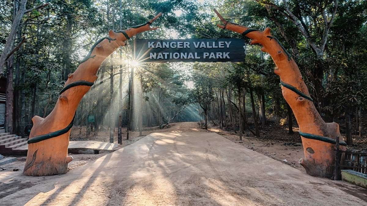 Bird survey to take place in Chhattisgarh's Kanger Valley National Park from February 25