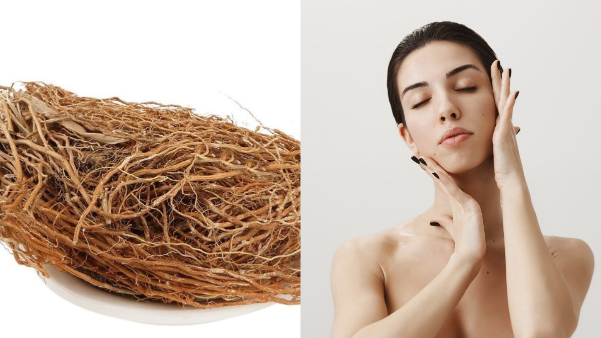 Vetiver Plant 12 remarkable reasons to add 'Khus' to your beauty