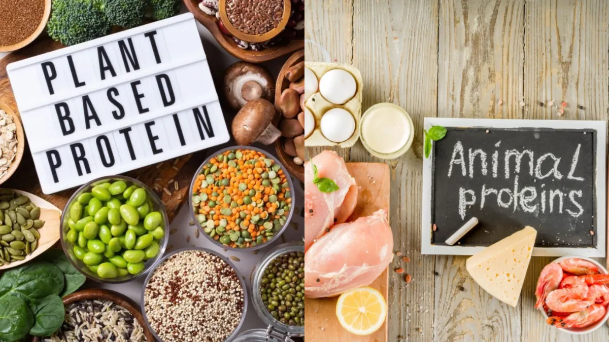 Plant Protein vs Animal Protein: Which is healthier?