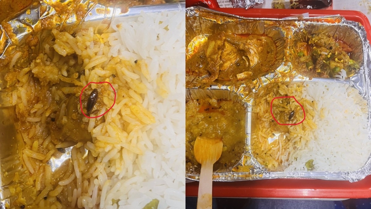 'Traumatised': Passenger finds 'dead cockroach' in meal served on Vande Bharat train, IRCTC reacts