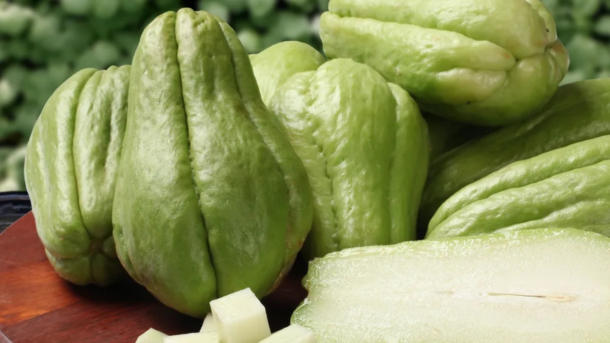 superfood chayote squash know these 5 benefits of vegetable pear