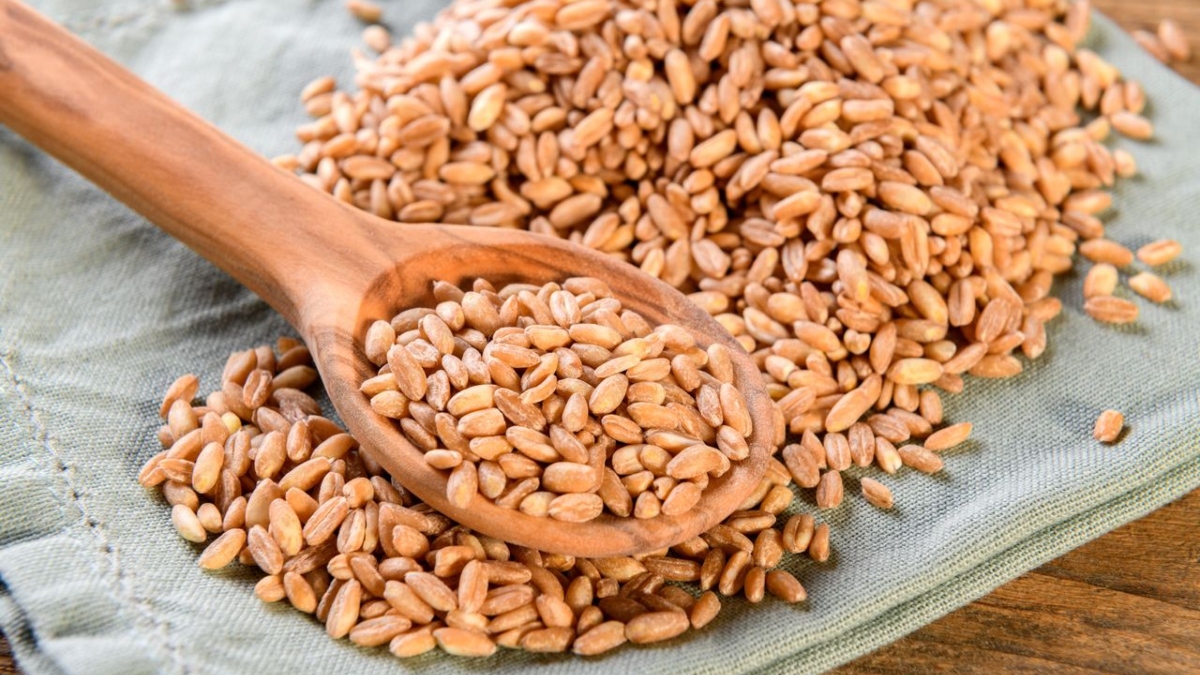superfood farro know these 5 benefits of this hulled wheat
