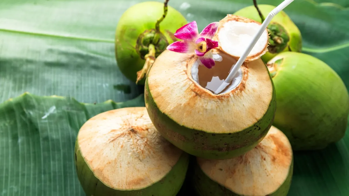 Superfood Coconut: 5 benefits of this Edible Fruit