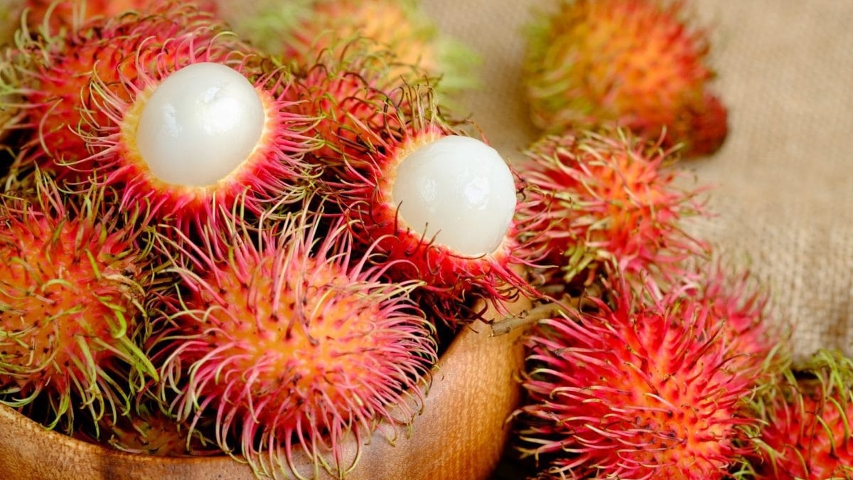 superfood rambutan know these 5 benefits of this bright red fruit