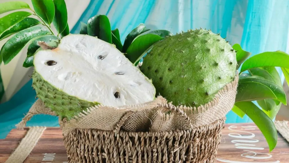 Superfood Soursop: 5 benefits of this Lakshman Phal