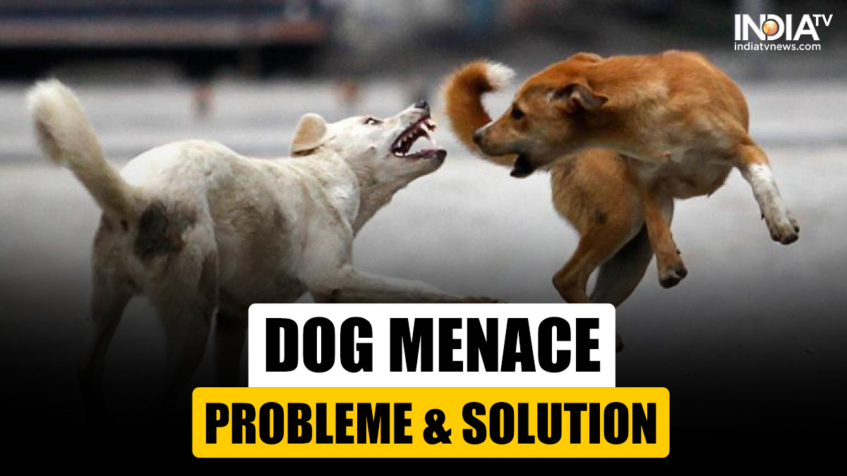 Dog attacks menace: Why is century-old animal-human bonding weakening? Issue & solution | Explained