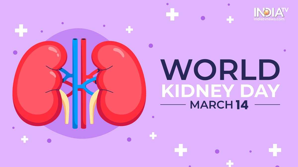 World Kidney Day 2024 6 healthy habits to keep your kidneys safe