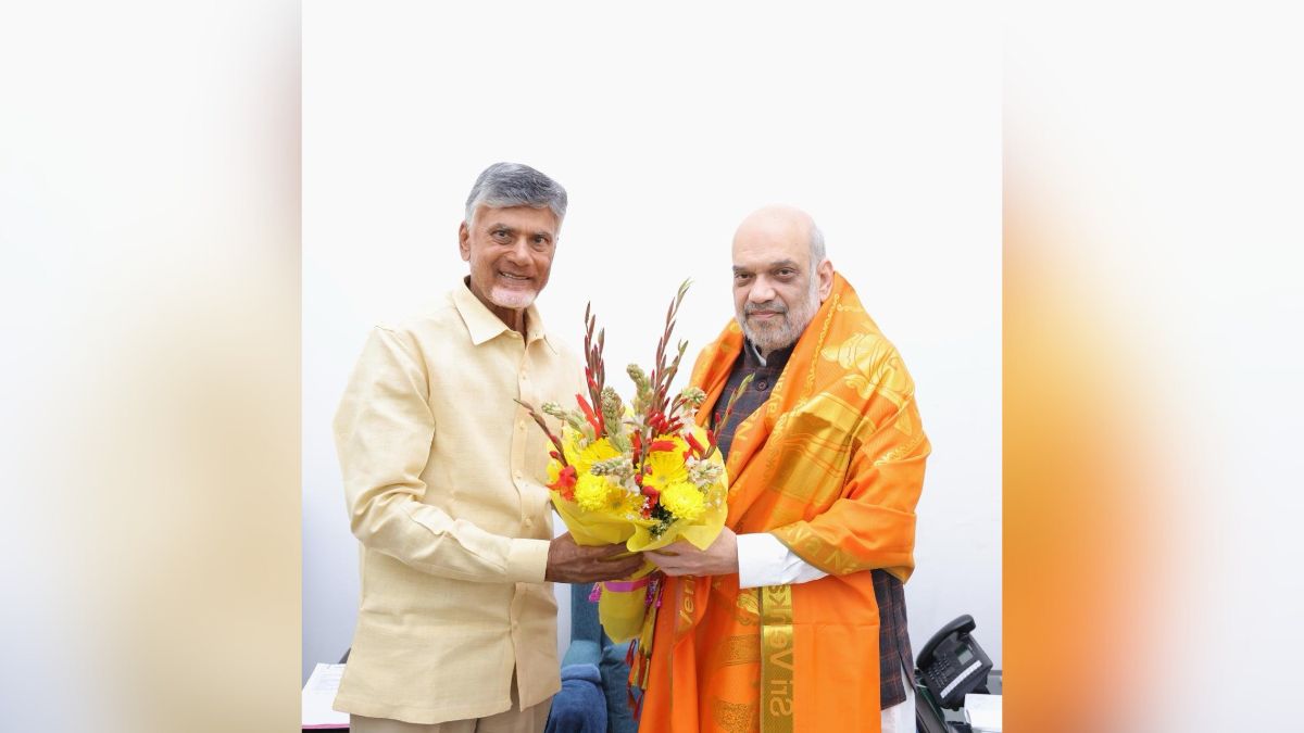 Lok Sabha elections 2024: TDP chief Chandrababu Naidu meets BJP top brass amid buzz over pre-poll alliance