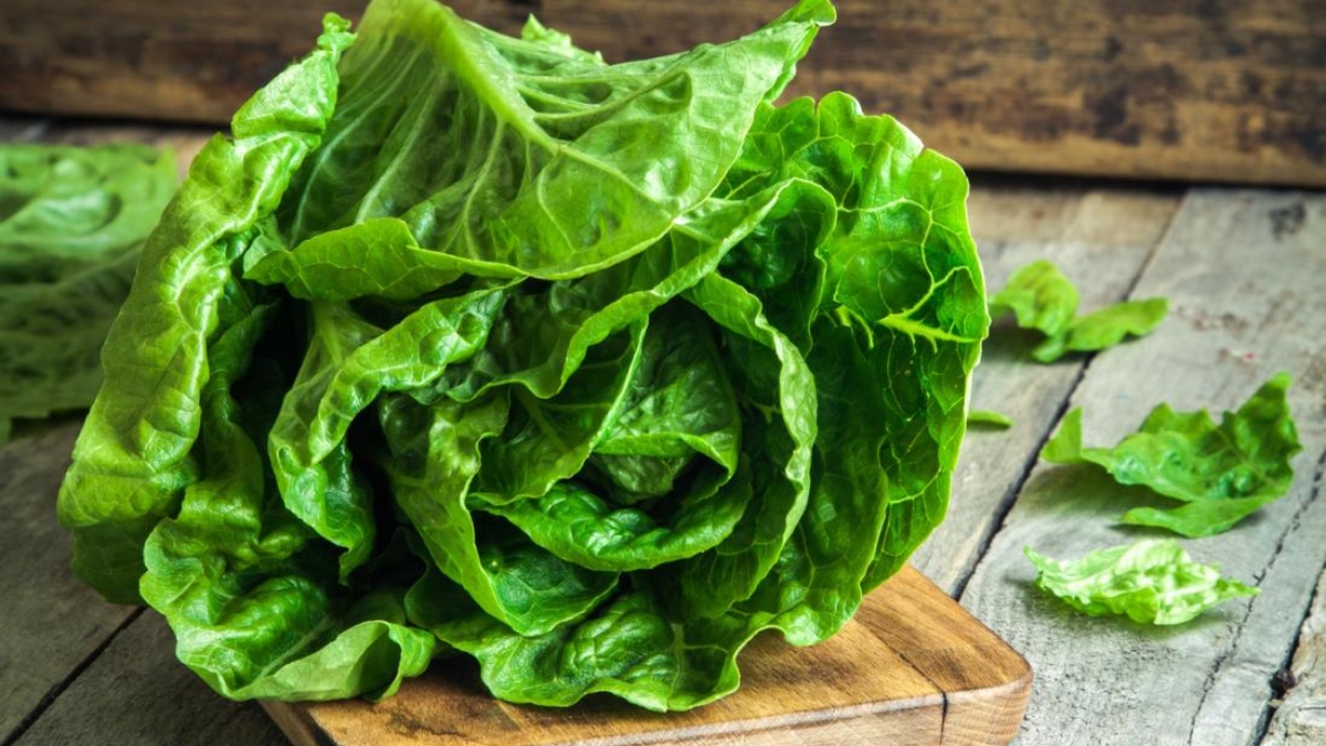 Superfood Romaine Lettuce: Know THESE 5 benefits of Cos Lettuce