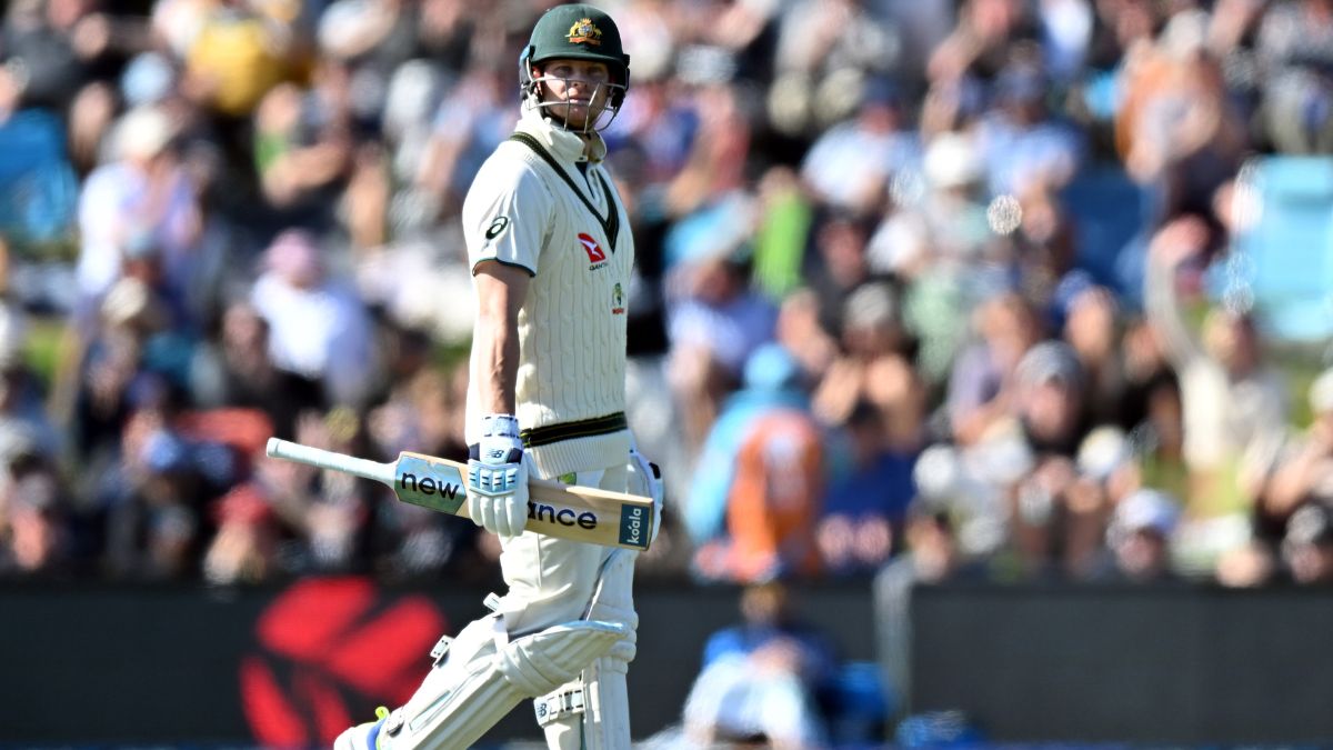 Former Australia captain feels Steve Smith can dominate next summer as opener