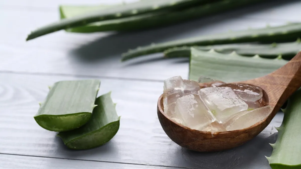 aloe vera saft stillzeit Bio Aloe Vera Saft kaufen - Vegan main image 0