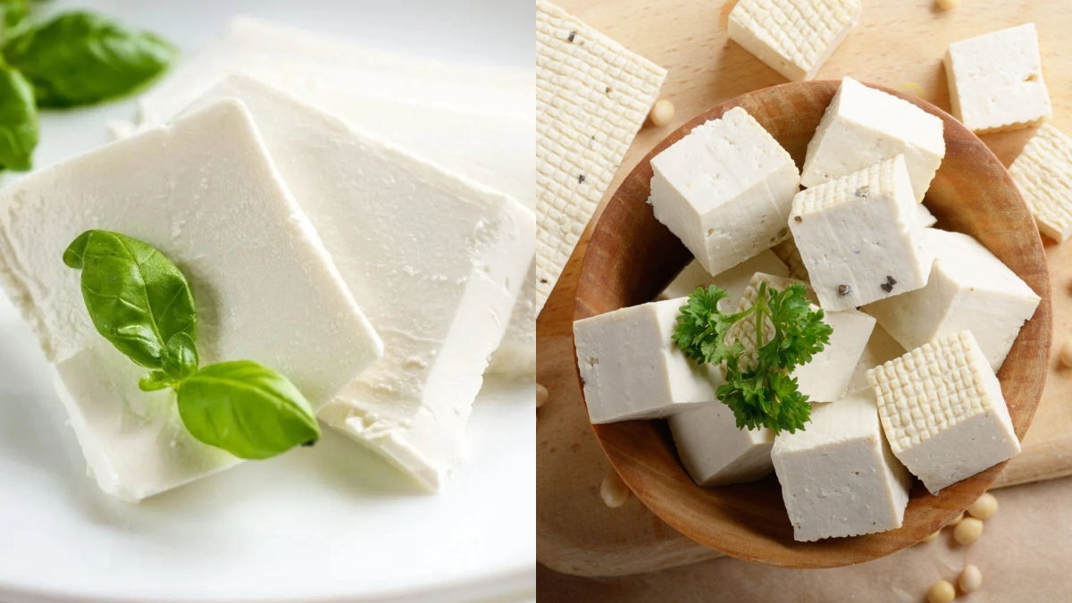 Paneer vs Tofu: Which protein source is healthier for weight loss?