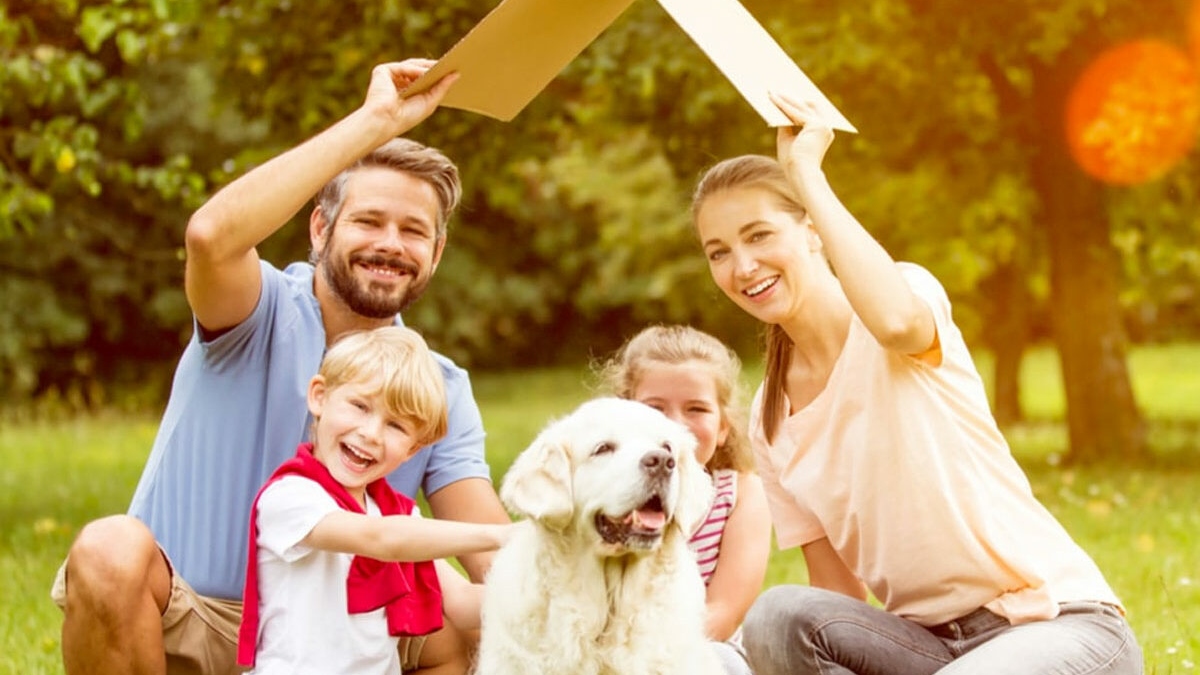 National Pet Parents Day 2024: 5 ways to keep your furry friend healthy during summers