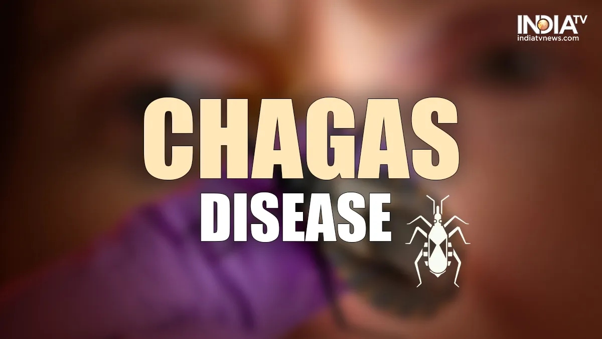 chagas disease know causes symptoms and all about infection caused by kissing bugs