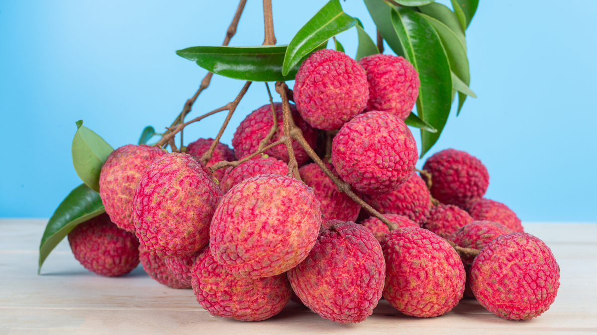 superfood lychee know these 5 benefits of this tropical fruit