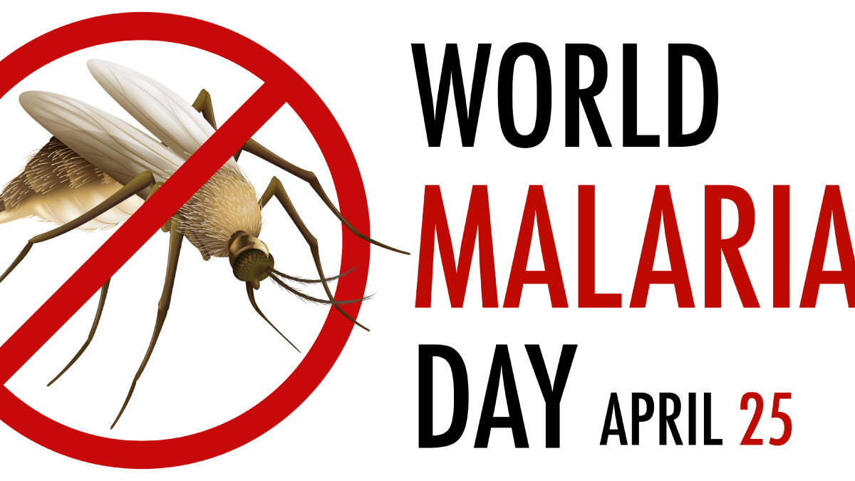 World Malaria Day 2024: Identify 5 factors that elevate malaria risk