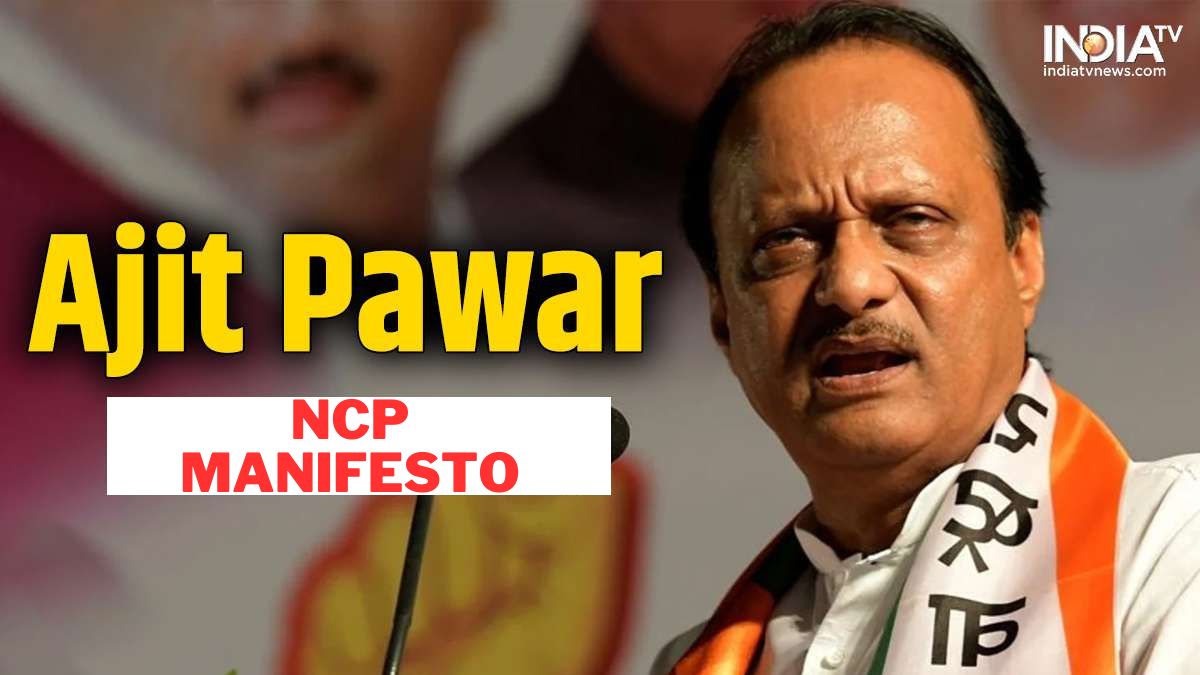 Lok Sabha Elections: Ajit Pawar-led NCP Releases Manifesto, Backs Caste ...