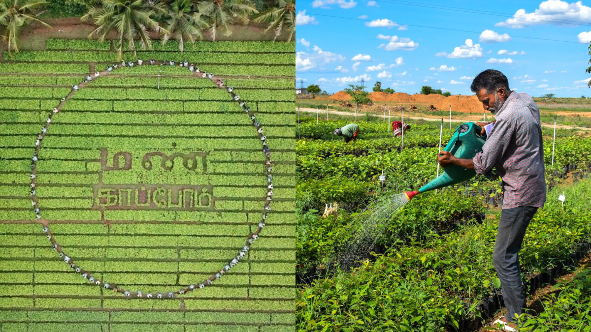 Cauvery Calling Movement’s Update: 2 crore saplings planted in 2023-24 taking total to 10.9 Crore