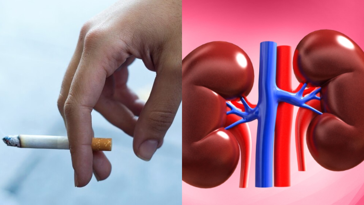How can smoking affect your kidneys and what can y