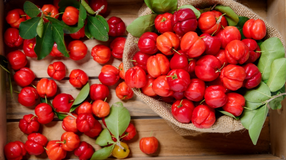 Superfood Acerola: Know THESE 5 benefits of Barbados Cherry