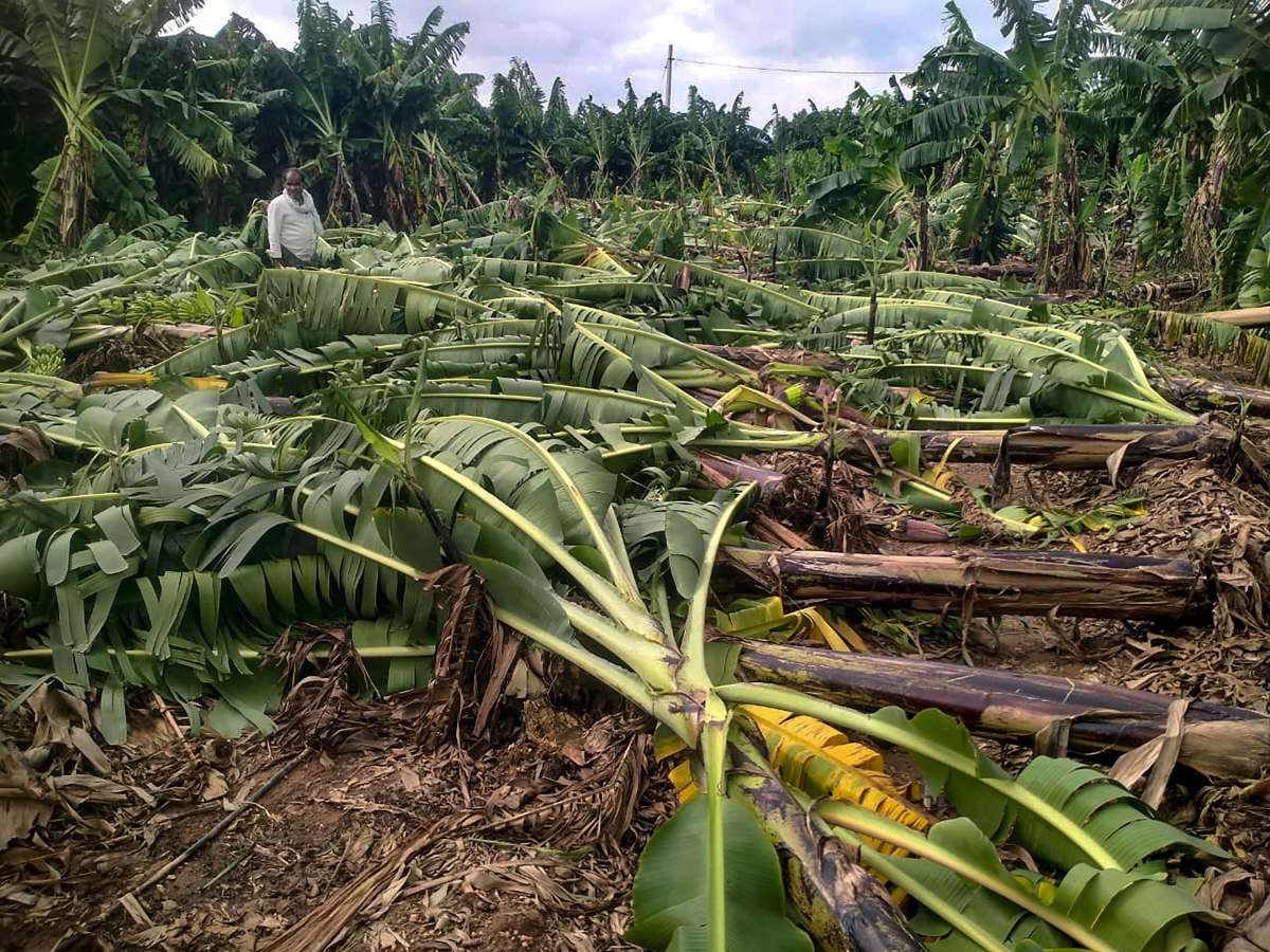 Cyclone Remal to make landfall on Sunday in West Bengal, Bangladesh at wind speed of 102 kilometres per hour