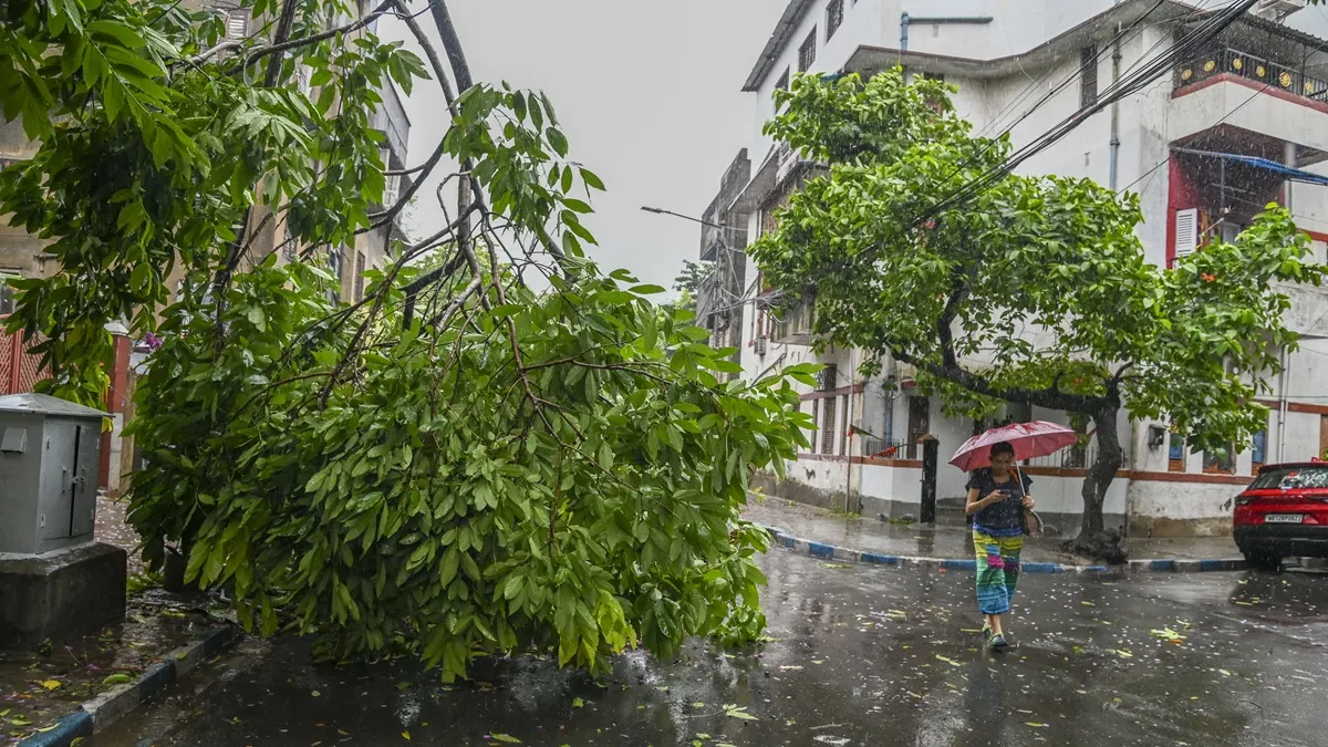 Several trees were uprooted during the cyclonic storm in West Bengal and Northeast. 