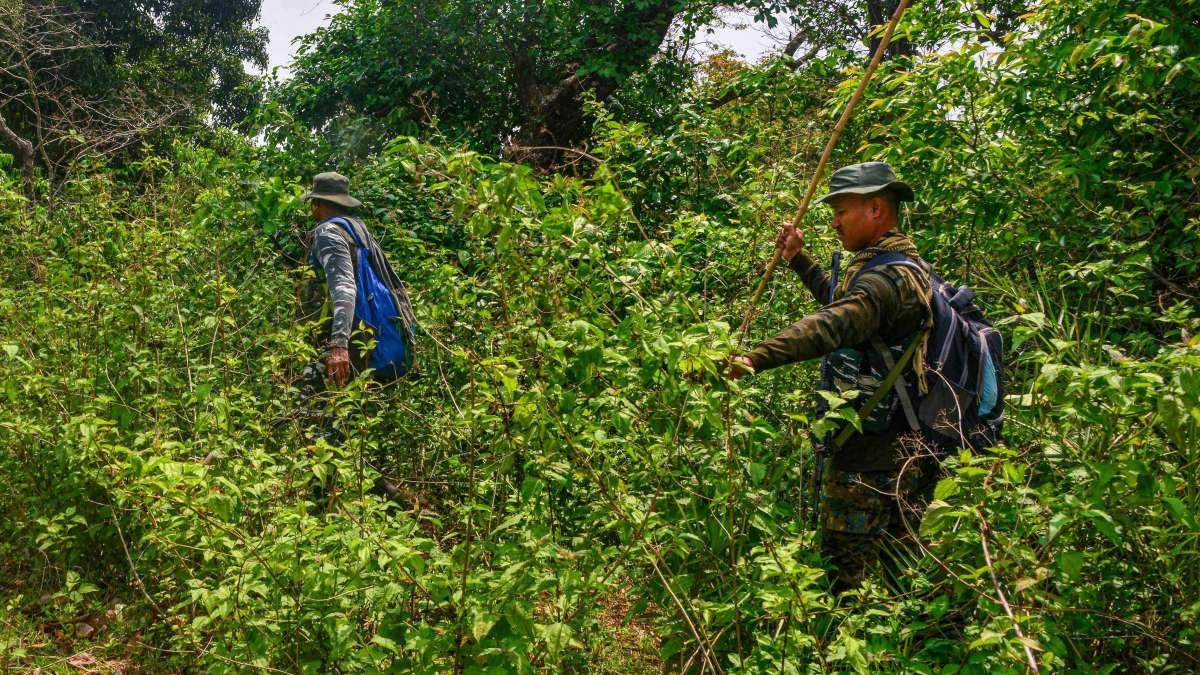 Chhattisgarh Police bust Naxalite hideout in Gariaband, recover three IEDs