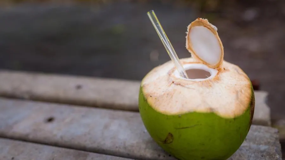 Enjoy sipping on Tender Coconut? Know easy tips to clean, store and reuse its outer shell