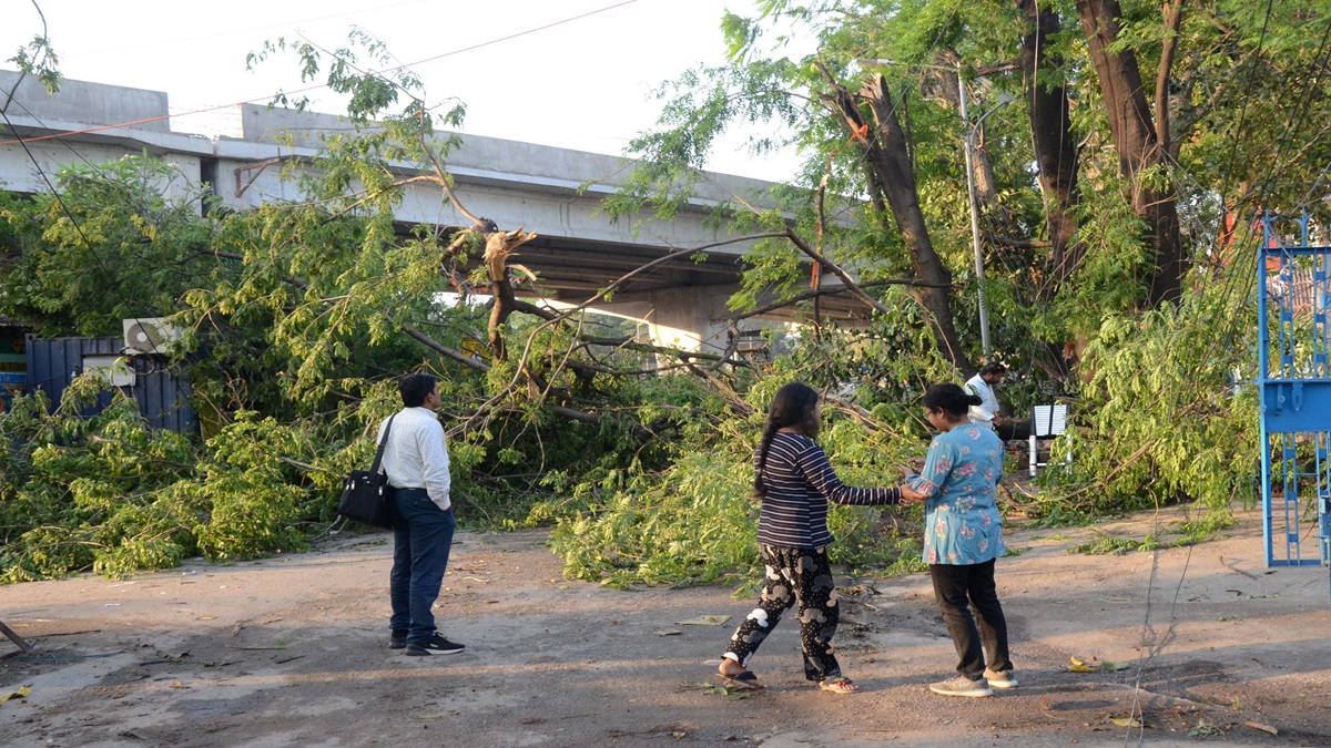 Delhi: Two men die on bike as tree falls on them in Hiranki