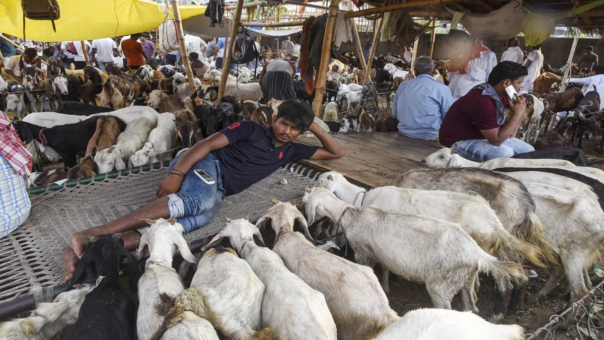 Vendors wait for customers to sell goats at a livestock market ahead of Eid-ul-Azha festival.