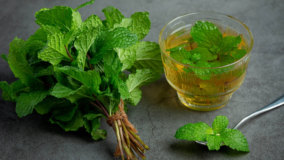 5 surprising benefits of Mint Leaves, know why it is go-to herb in summers