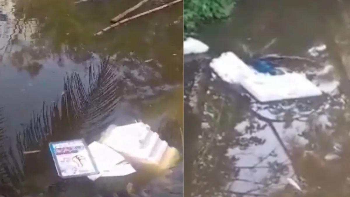 Lok Sabha Elections 2024: Mob throws EVM, VVPAT machine in pond in West Bengal's South Paraganas | VIDEO