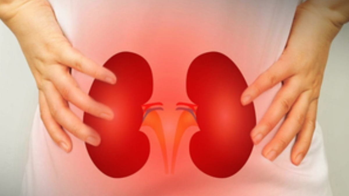 Low-salt diet along with less body fluids may help repair kidney cells: Study – India TV