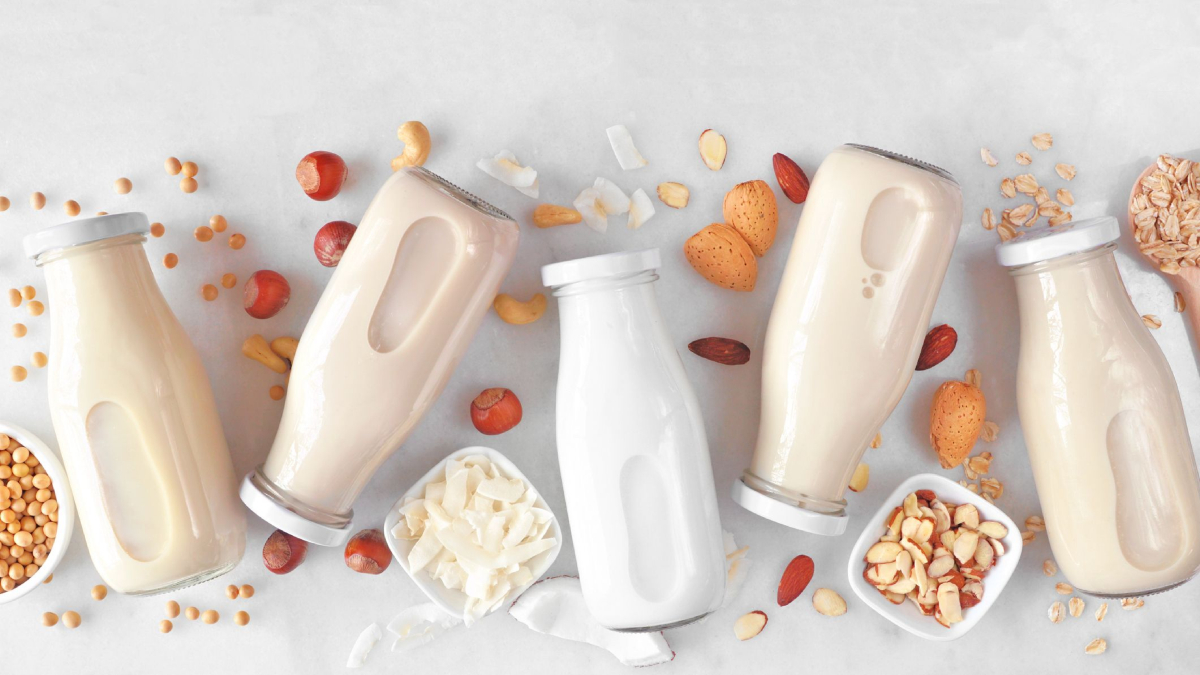 World Milk Day 2024: What are the best milk alternatives for lactose intolerant individuals? Know here