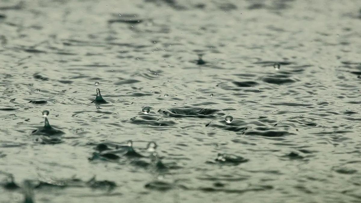 Madhya Pradesh weather update: IMD predicts rainfall, strong winds in parts of state for two days.