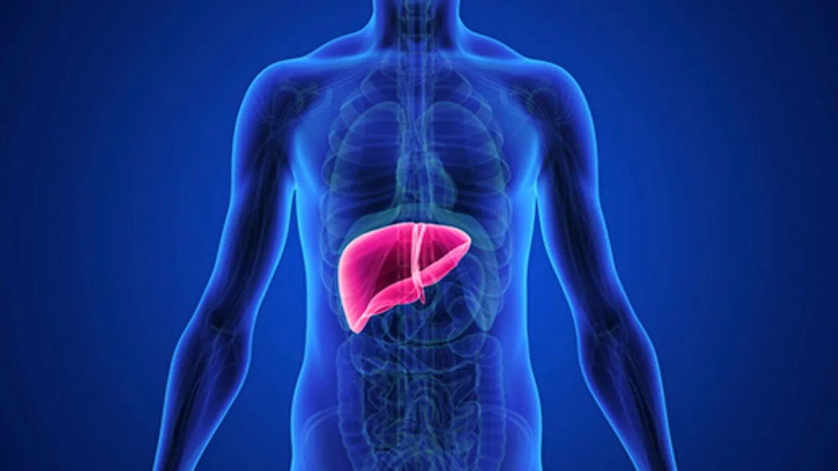 Know about viral hepatitis transmission.