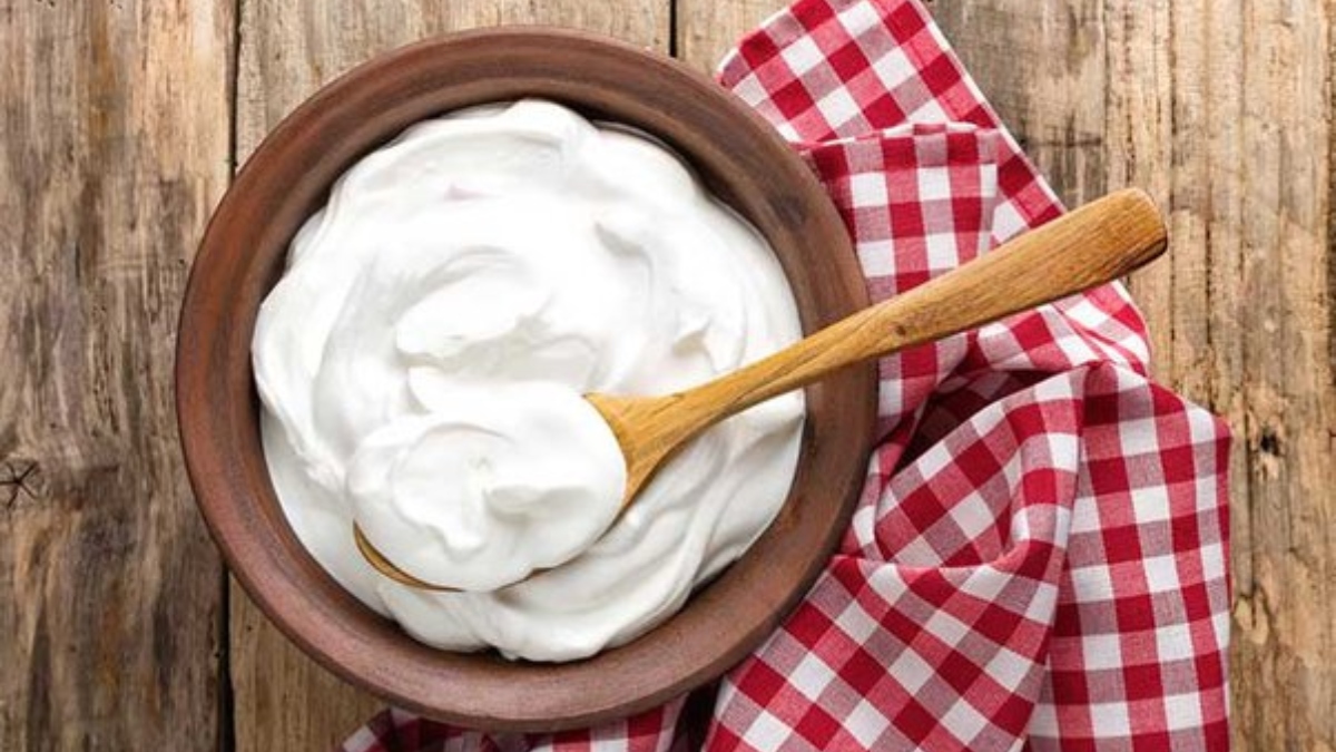 Curd with Salt vs Curd with Sugar: Which combination is healthier?