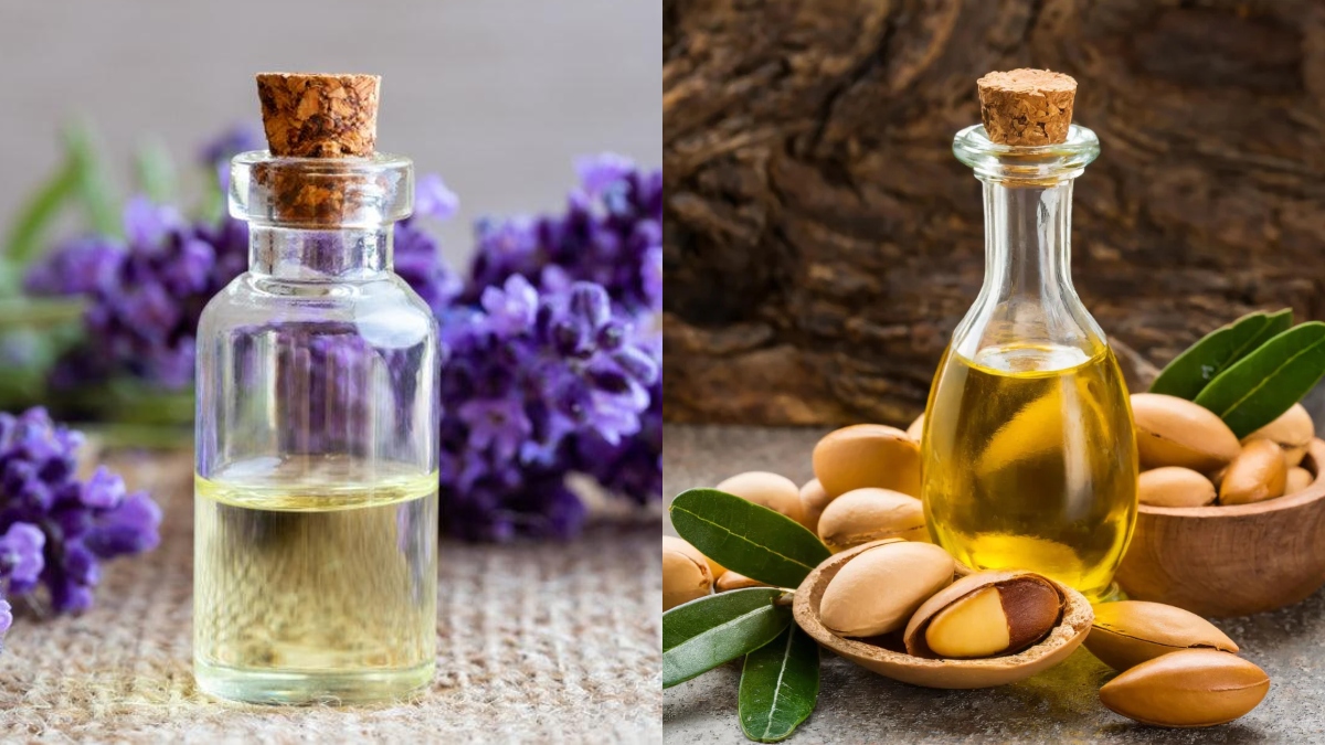 Lavender Oil to Argan Oil: 5 essential oils for healthy, lustrous hair; know amazing benefits