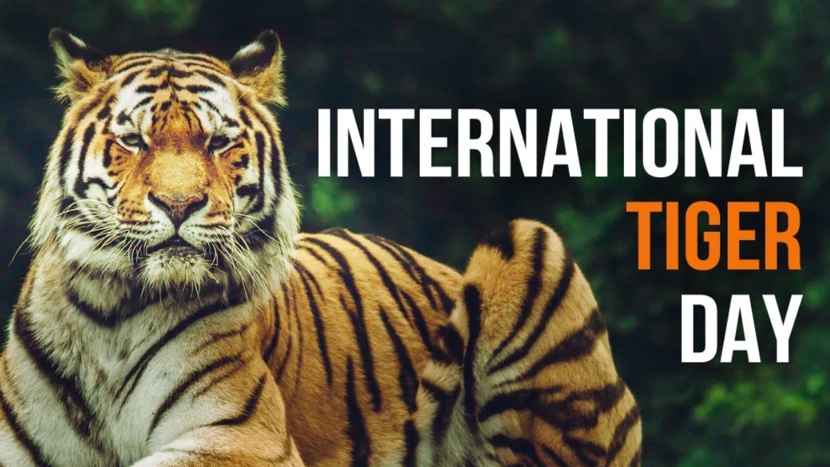 International Tiger Day 2024: 5 must-visit Tiger Reserves in India to spot the national animal