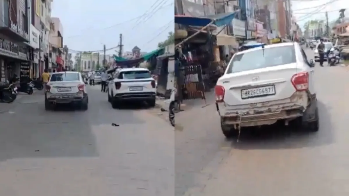 Viral video shows two youngsters mowing down everything across the road.
