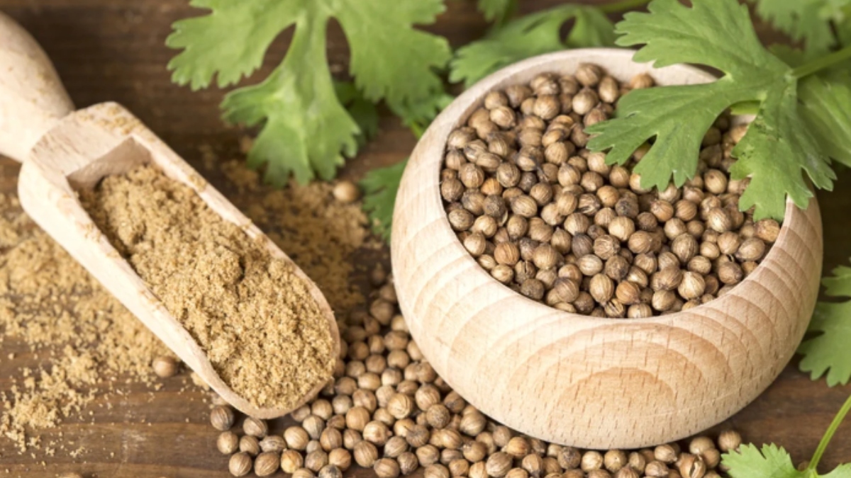 One spoonful of coriander seeds can cure many serious diseases, know when and how to consume it