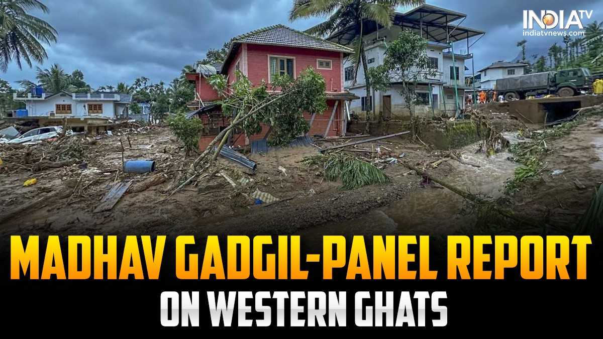 Wayanad landslides: What was Madhav Gadgil-panel report which recommended no urbanisation on Western Ghats?