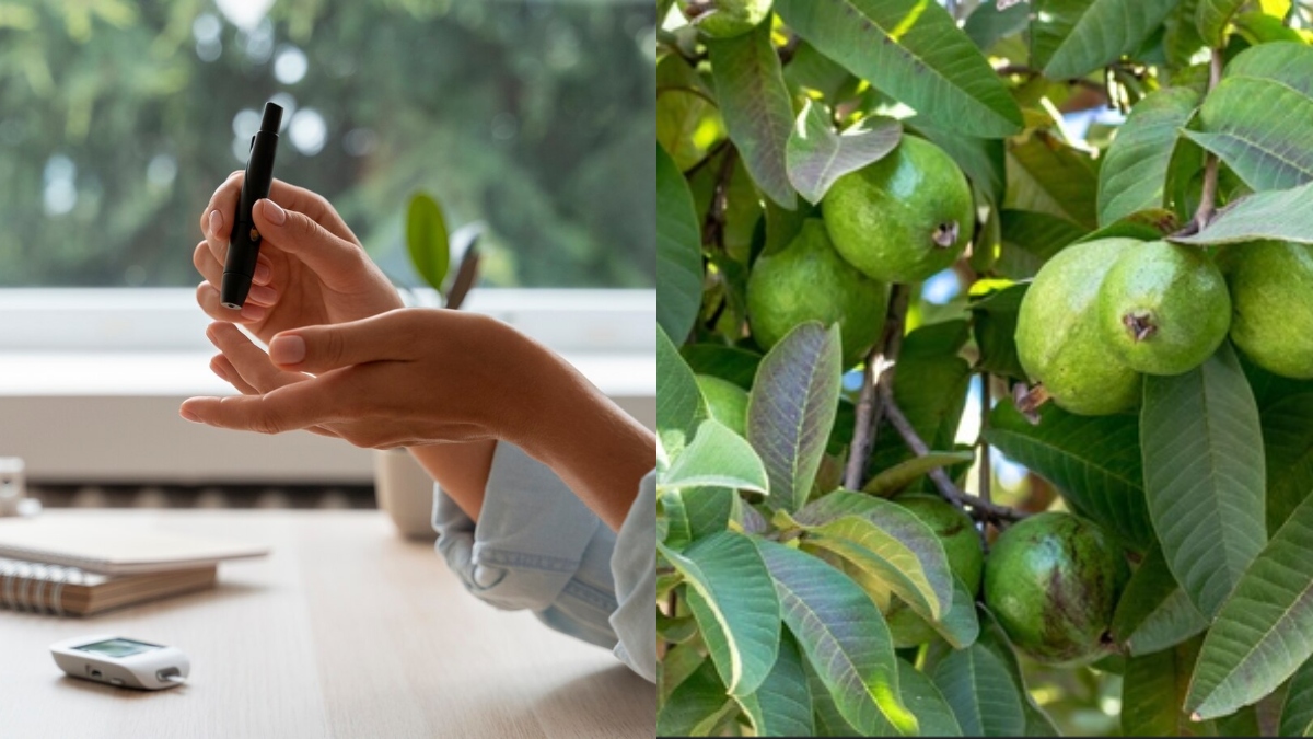 Do you have diabetes? Eating guava leaves can help control blood sugar levels, know other benefits