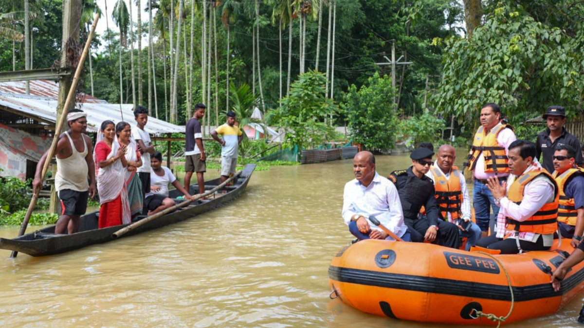 Assam flood update: 31 animals dead, 82 rescued in Kaziranga National Park