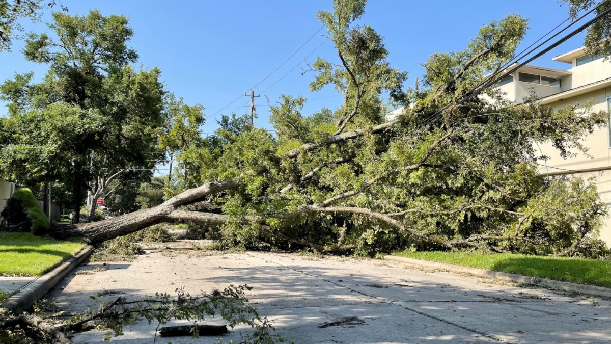 Storm ravages eastern Afghanistan: 35 dead and several others injured